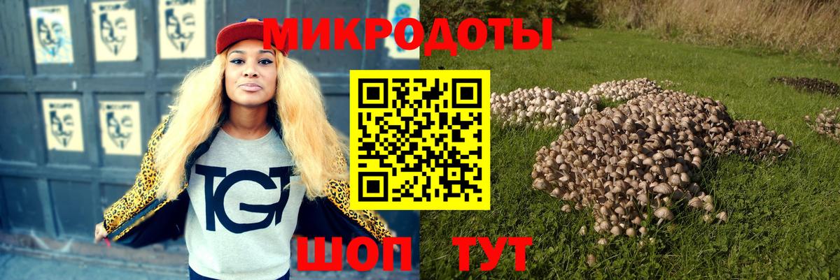 Нурлат  Галлюциногенные грибы GOLDEN TEACHER  Вход с VPN 